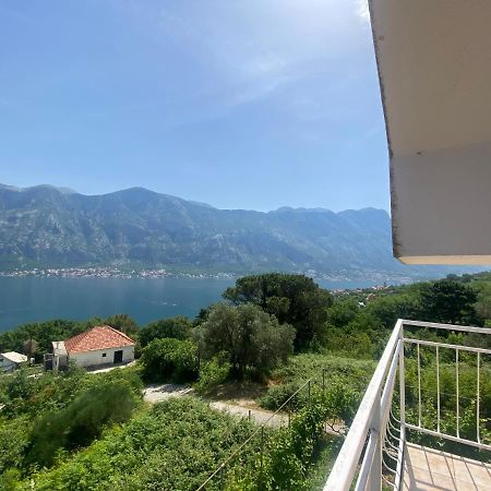 Apartments Djuricic Kotor Ngoại thất bức ảnh
