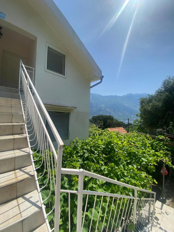 Apartments Djuricic Kotor Ngoại thất bức ảnh